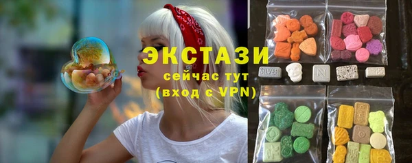 шишки Горняк