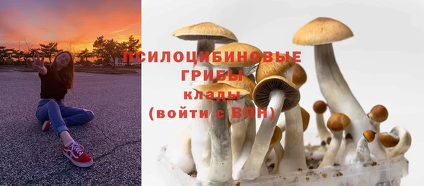 mdma Горнозаводск