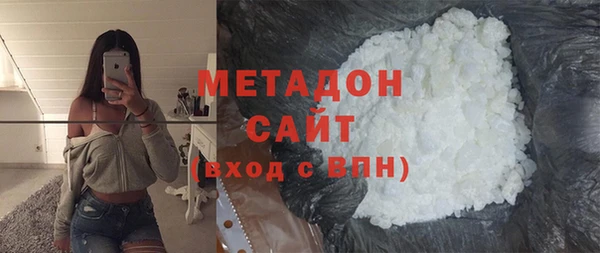 шишки Горняк