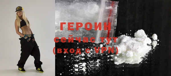 шишки Горняк