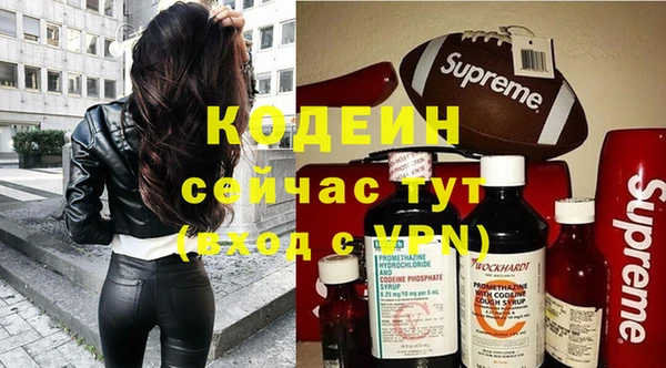 шишки Горняк