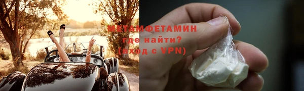шишки Горняк