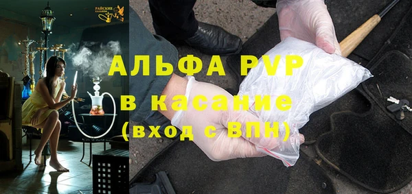 шишки Горняк