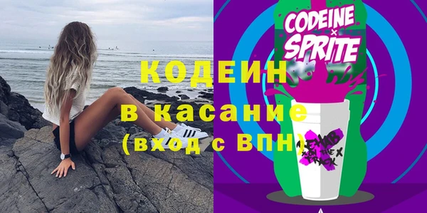 шишки Горняк