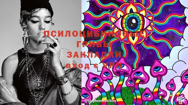 соль курить ск Горно-Алтайск