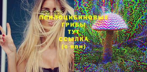 mdma Горнозаводск