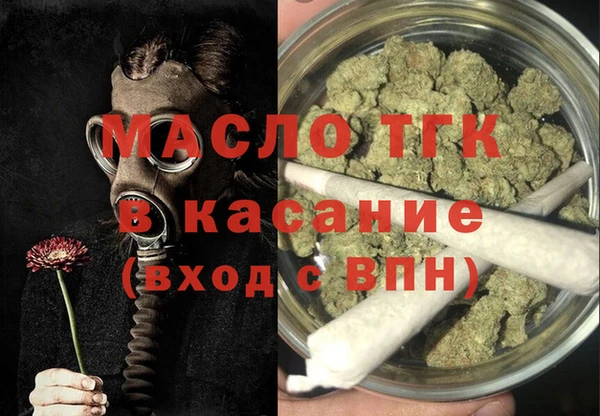 шишки Горняк