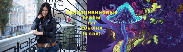 соль курить ск Горно-Алтайск