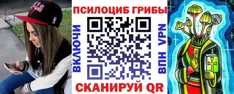 Купить где  Обоянь  Псилоцибиновые грибы Psilocybine cubensis 